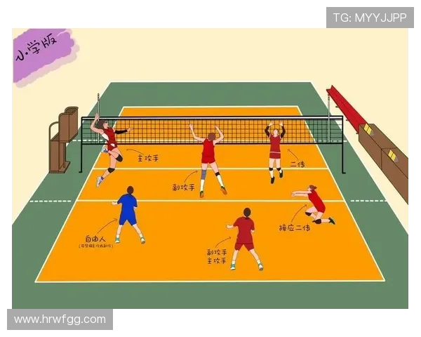 成都排球队排球战术解析与控制体系的深度剖析